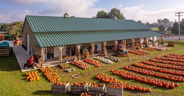 VeggieVale Farms
