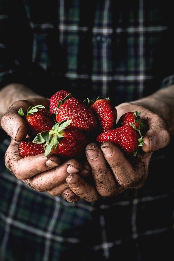 Rustic Orchard: Heritage Variety Fruit Sampler