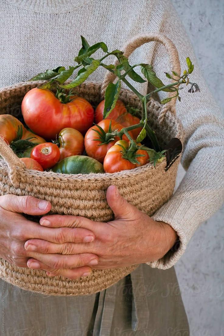 Nature's Mosaic: Hearty Seasonal Vegetable Assortment